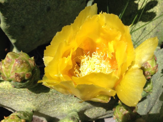 23f6ce3ef2b4c105c0a160941d5532a4b08f6185