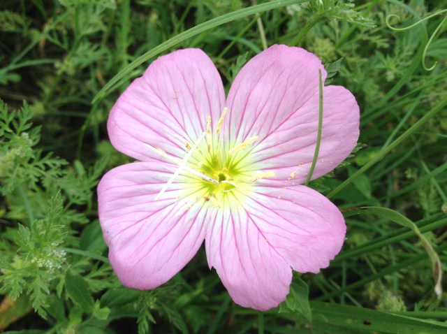 89500c8be554850bc10cac62feab8339f58708ab