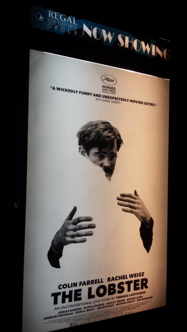 IMG_e68d45543dd979b29a7e63dc5319b105f52f73e8