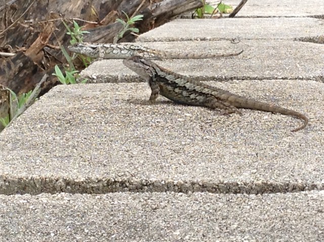 240f42f3c8e3ccee716cddb0b0d132b6999fd0f0