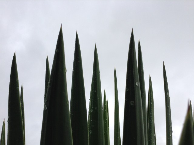 79e87faf6ac761bfae75965d2865102183e8cb68