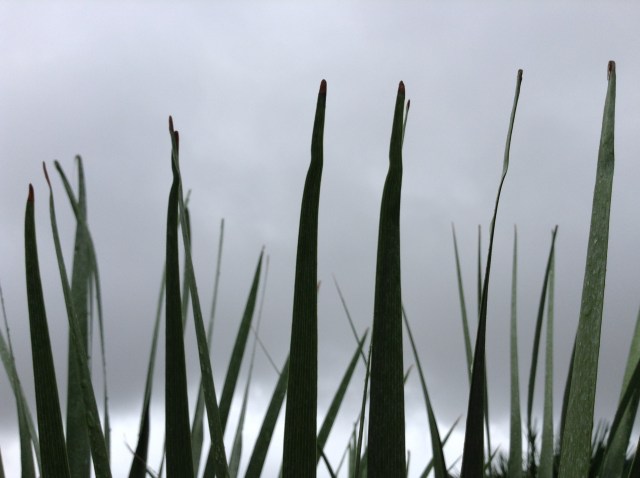 8c2a06991f02bd3c62aeec64bd14e5dda3d0825e