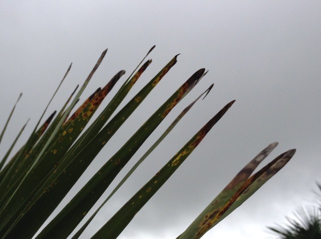 a50f006e75d73ec2c68b1db4adcd7f13e8de6fa9