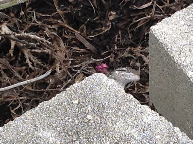 b7e37b0bee1d34c17c26e38d2263db9eccf49707