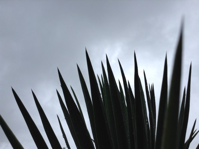 e7e181995f95b007f6f4ce4bd50437b9480782cc